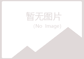 安多县夜山土建有限公司